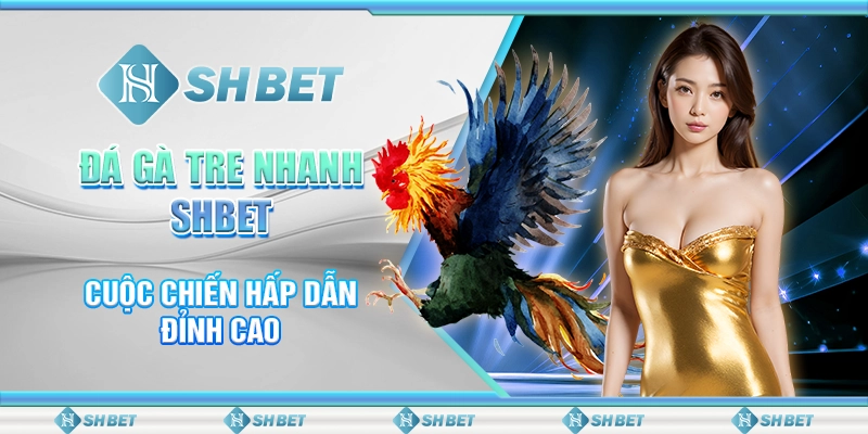 Đá Gà Tre Nhanh SHBET – Cuộc Chiến Hấp Dẫn Đỉnh Cao