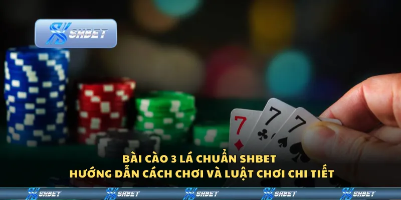 Bài cào 3 lá chuẩn Shbet – Hướng dẫn cách chơi và luật chơi chi tiết