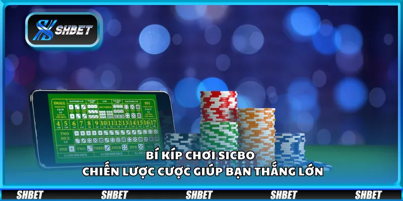 Bí kíp chơi Sicbo tại Shbet – Chiến lược cược giúp bạn thắng lớn