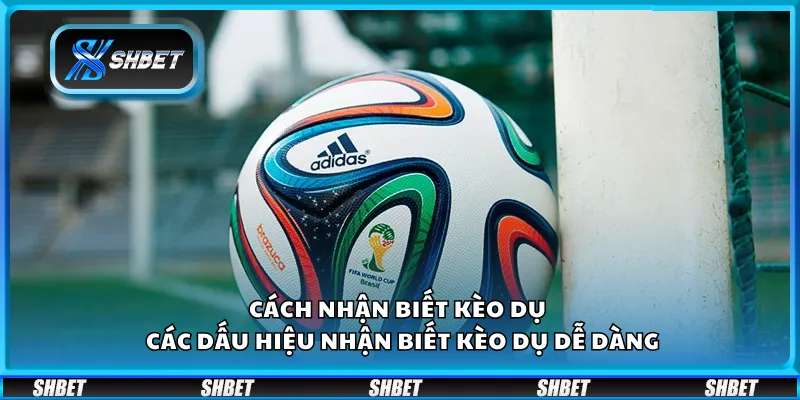 Cách nhận biết kèo dụ – Các dấu hiệu nhận biết kèo dụ dễ dàng