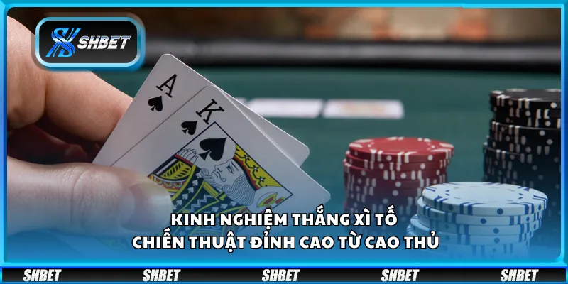 Kinh nghiệm thắng Xì Tố – Chiến thuật đỉnh cao từ cao thủ