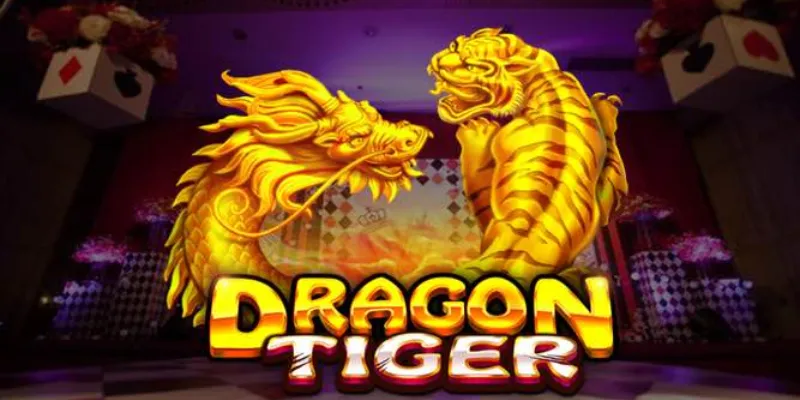 Tổng hợp thông tin về Dragon Tiger
