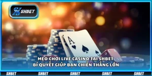 Mẹo chơi Live Casino tại Shbet - Bí quyết giúp bạn chiến thắng lớn